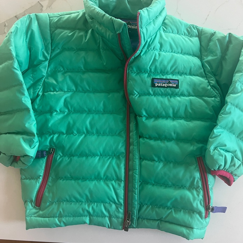 Patagonia Blue and Green Puffer Jacket